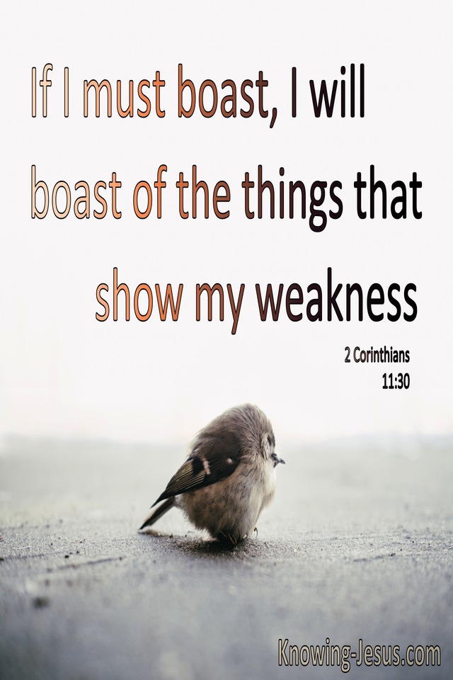 2 Corinthians 11:30 I Boast Of What Pertains To My Weakness (brown)
